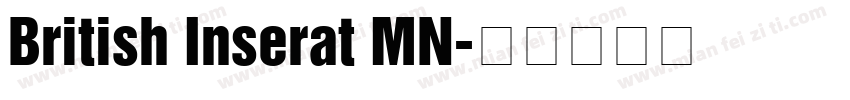 British Inserat MN字体转换